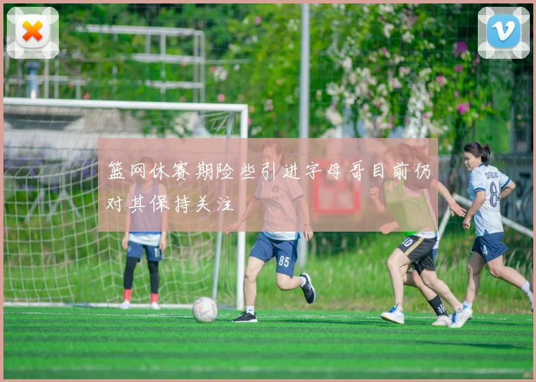 篮网休赛期险些引进字母哥目前仍对其保持关注