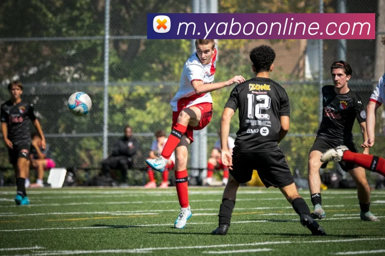 多媒体互动体验